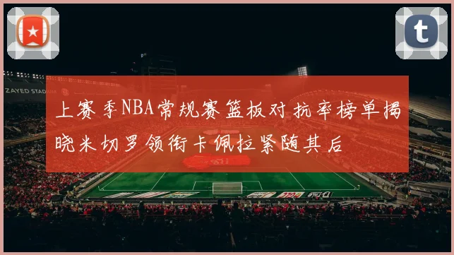 上赛季NBA常规赛篮板对抗率榜单揭晓米切罗领衔卡佩拉紧随其后
